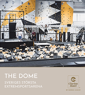 THE DOME