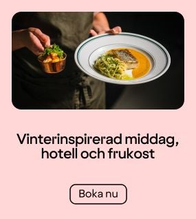 Middag och övernattning