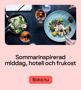 Middag och övernattning