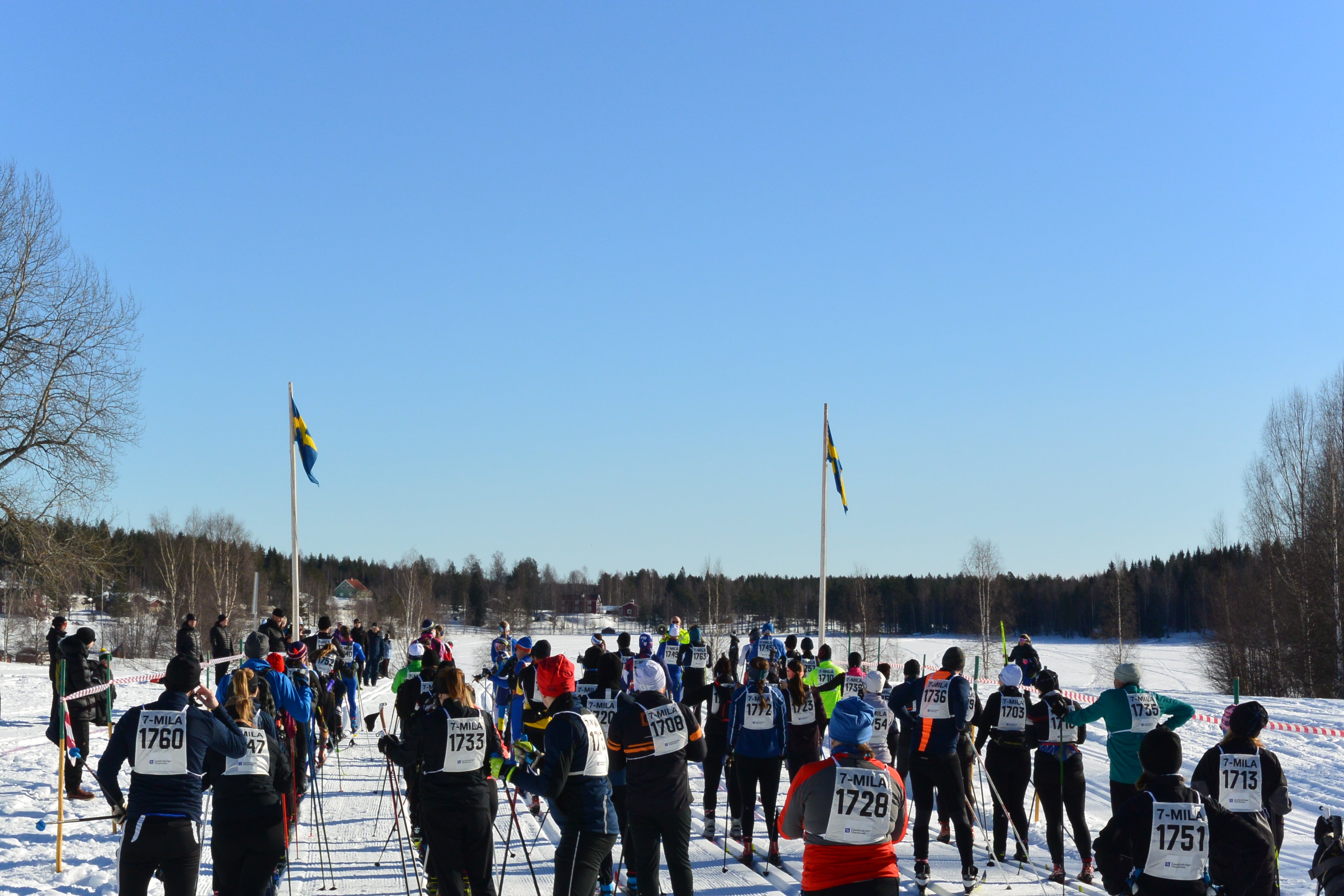 7-mila boendepaket – bo bekvämt mitt i Umeå under vinterklassikern!