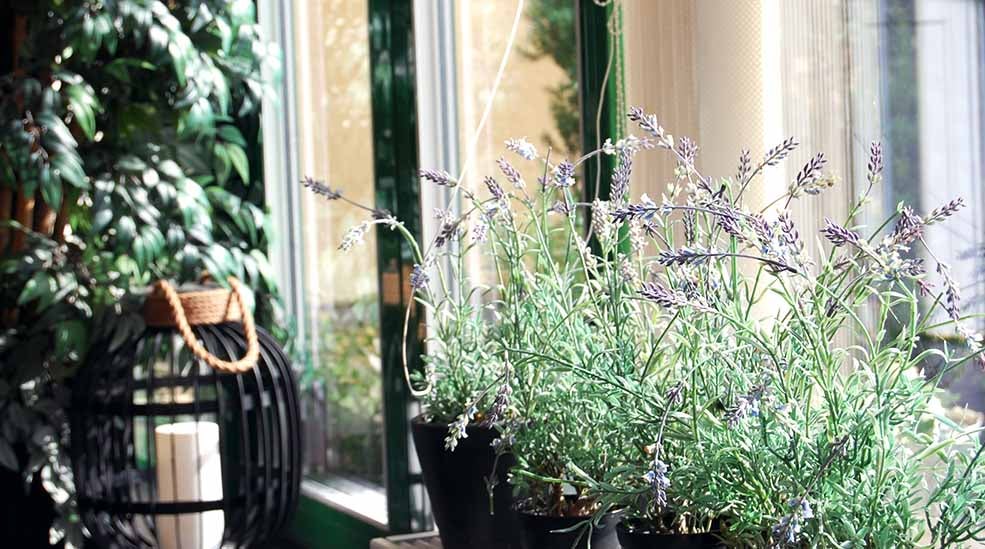 Blommor i detalj med ljus på Clarion Collection Hotel Bolinder Munktell Eskilstuna 