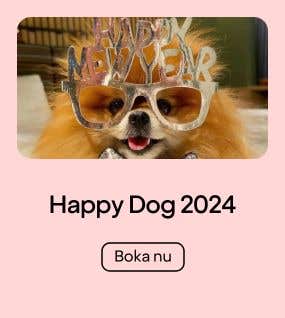 Nyår 2024 - Happy Dog