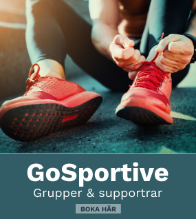 We Love Sport