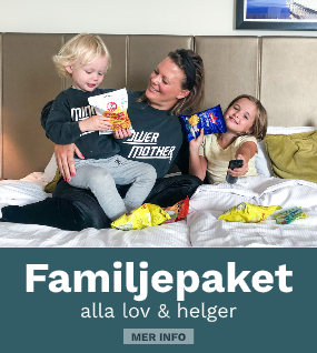 Familjemys
